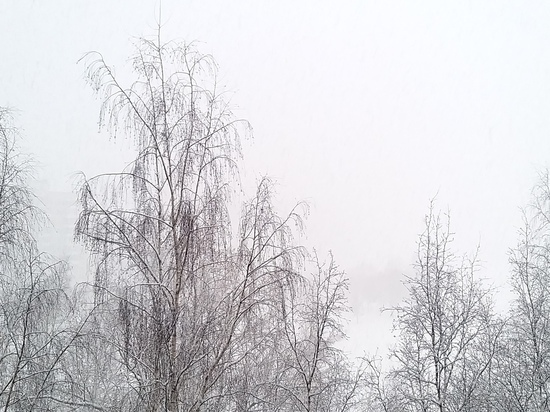 Жителей Ленобласти предупредили о снегопаде и 20-градусных морозах до конца недели