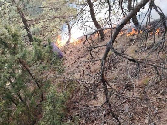 В горах Дагестана горят леса