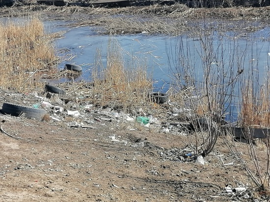 В Астрахани остановка и река возле нее превратились в мусорную свалку