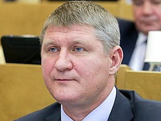 Депутат Шеремет предложил создать буферную зону на западных границах России