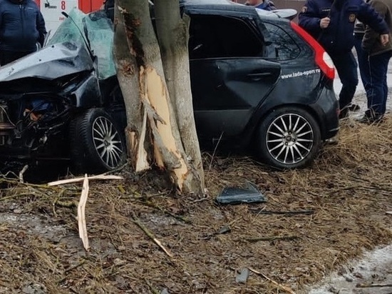 В Орловской области автомобилист столкнулся с деревом