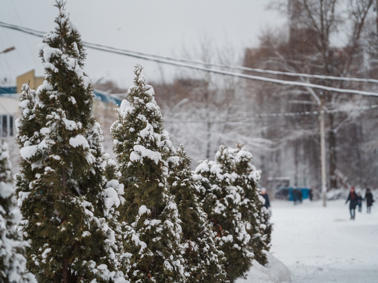 В Тверской области на смену 19-градусному морозу придет потепление
