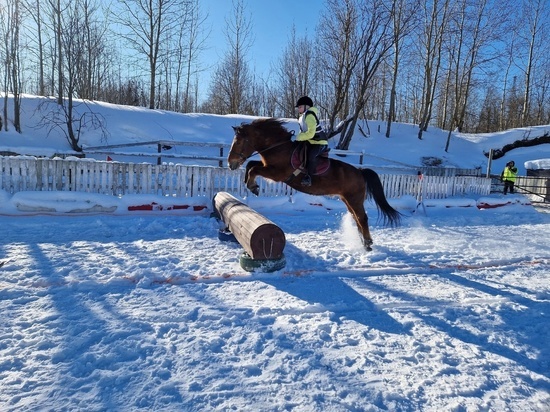 В Новодвинске прошли соревнования по спортивному туризму на лошадях