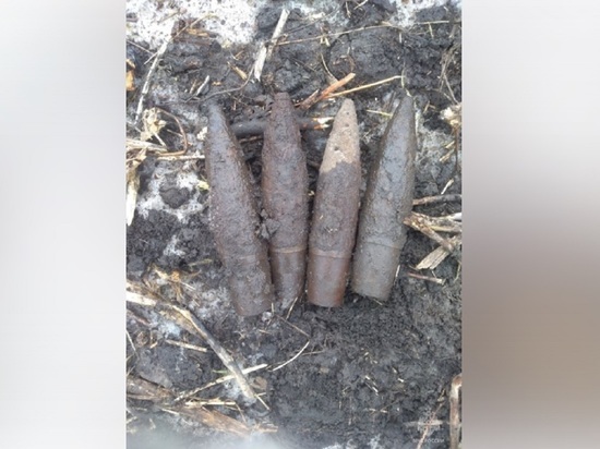В Белгородской области нашли 4 снаряда времен Великой Отечественной войны