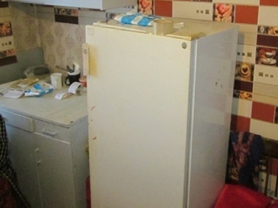На Алтае голодная сельчанка обчистила чужой холодильник