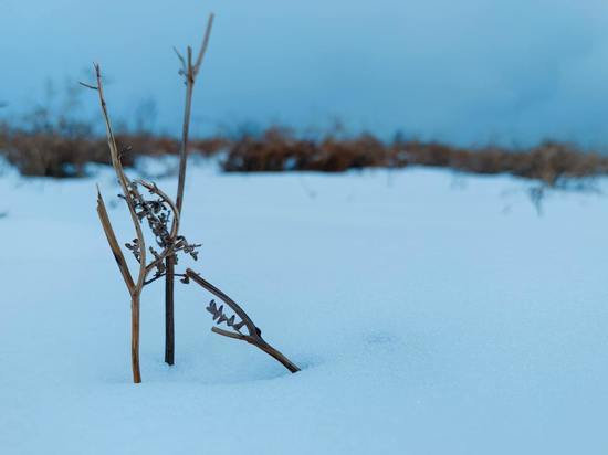 Снег, дождь и порывистый ветер ожидаются в Сахалинской области 10 марта