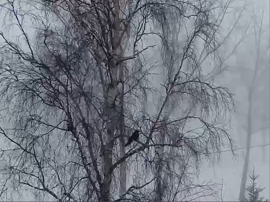 На Братск и Нижнеудинск обрушился циклон с ветром и снегом