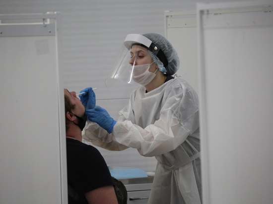 В Новгородской области за сутки 48 человек заразились коронавирусом