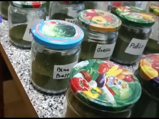 В Саратове пресечена попытка продажи закатанных консервных банок с наркотиками