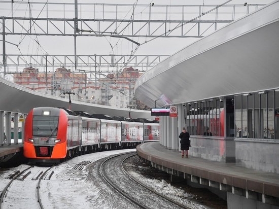 Насильник напал на женщину на железной дороге в Москве