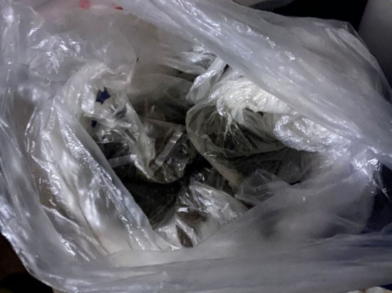 Сбытчик из Череповца хранил в гараже более 300 грамм наркотиков