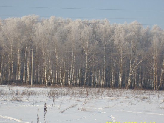 В Ярославле ожидается экстремальное похолодание