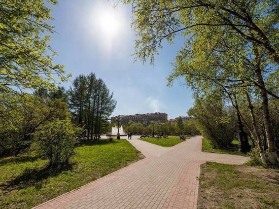 Жители Мурманска могут выбрать, какие пространства в городе требуется озеленить