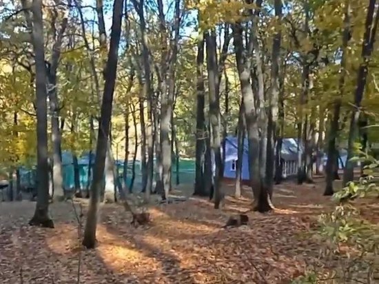 В Саратовской области утверждена стоимость путевок в детские лагеря