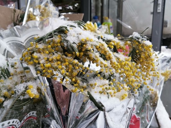 В Петербурге ликвидировали незаконные цветочные прилавки у станций метро