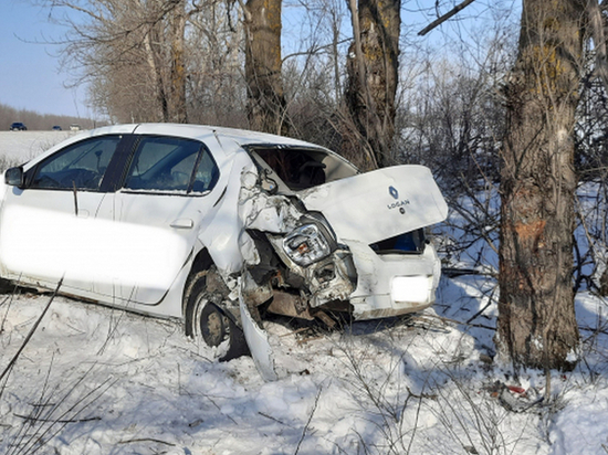 Житель Воронежа угнал автомобиль и врезался на нем в дерево