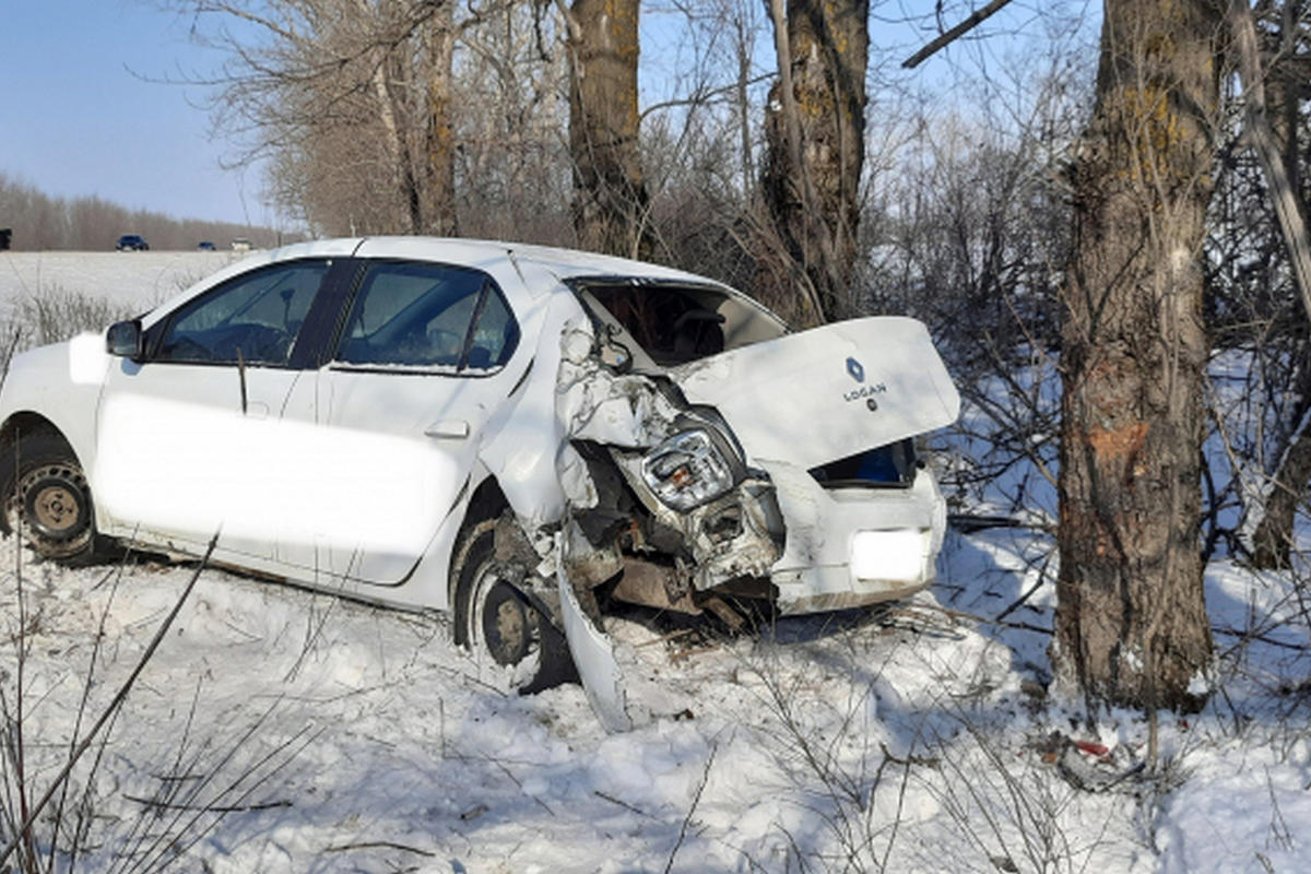 Житель Воронежа угнал автомобиль и врезался на нем в дерево - МК Воронеж