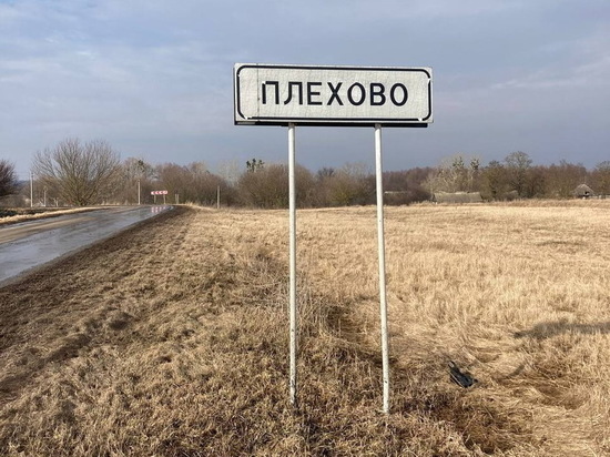 Курские власти опровергли информацию об украинской ДРГ в селе Плёхово Суджанского района