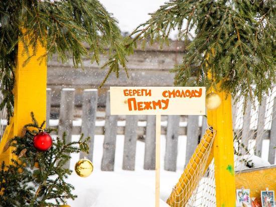 Жители Пежмы Вельского района открывают штаб развития села