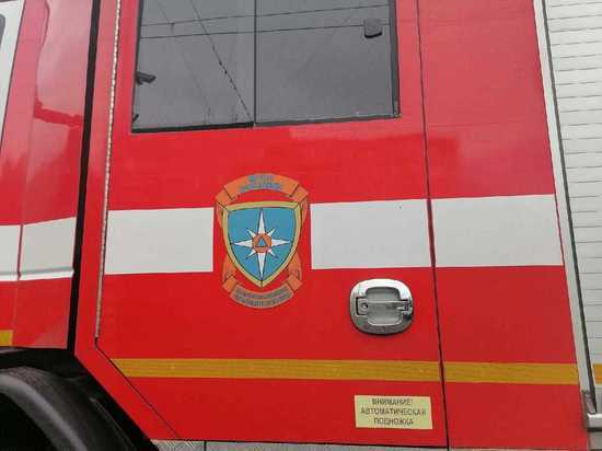 В Тоцком районе на пожаре погибли пожилой мужчина и ребенок