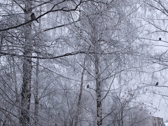 В Орловской области в ночь на 10 марта ожидают сильный снег