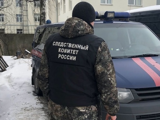 Расследуется уголовное дело о похищении жителя Петрозаводска