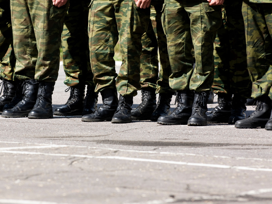 Германия: Введут ли обязательную социальную службу или всеобщую воинскую обязанность