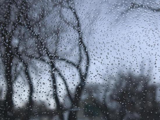 Дождь и порывистый ветер ожидаются в Сахалинской области 11 марта