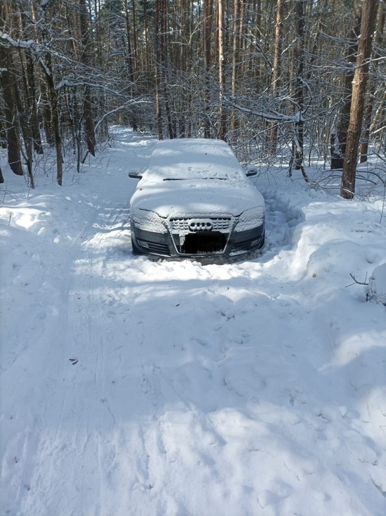 В лесу Тверской области нашли брошенную Audi
