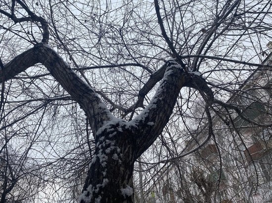 Снег и сильный ветер ожидаются 11 марта в Забайкальском крае