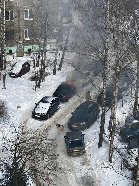 В Твери на улице Королева загорелись две иномарки