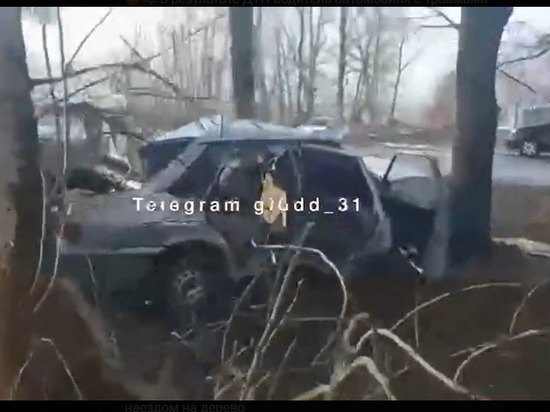 В Белгородской области автомобилистка на скорости въехала в дерево, ее пассажир погиб
