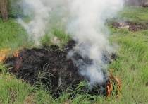 В Калининградской области местные власти объявили пожароопасный сезон