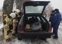 В Калининградской области произошло дорожно-транспортное происшествие
