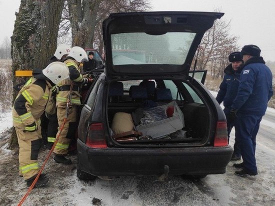 Под Зеленоградском спасатели вытащили из машины водителя, пострадавшего в ДТП