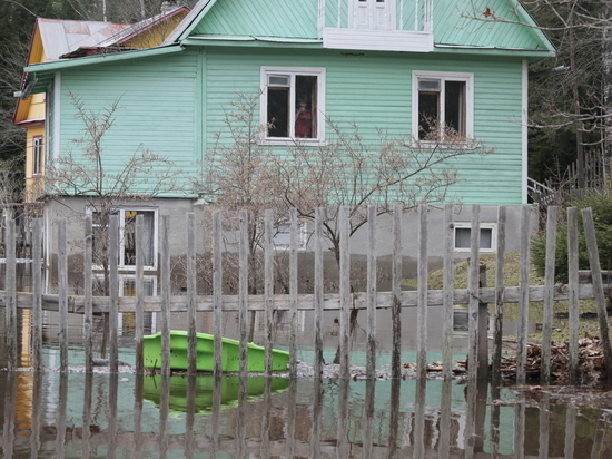 Новгородцам рассказали, что нужно делать при наводнении