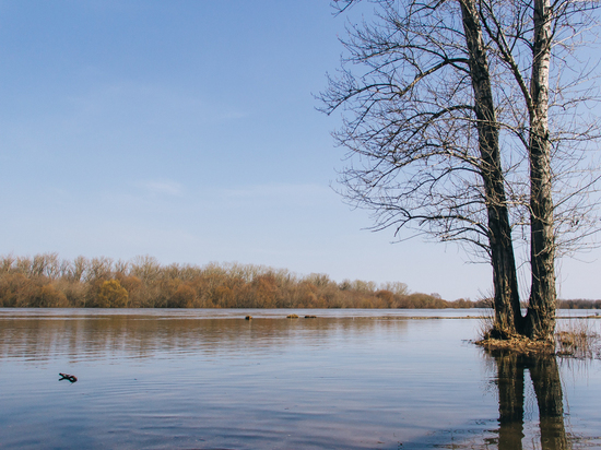 Гидрометцентр сообщил о подъёме уровня воды в реках Рязанской области