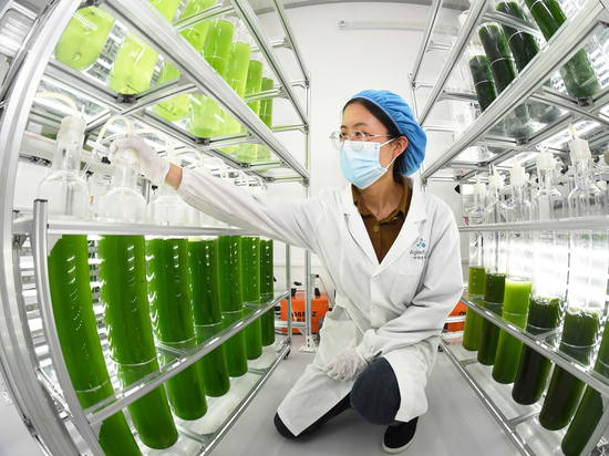 Минобороны: США не опровергли озвученные данные о биоисследованиях