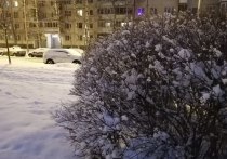 В Петербурге объявили «желтый» уровень опасности из-за погодных условий на выходных. Причина – сильный снегопад и возможность обледенения, сообщили в пресс-службе Смольного.