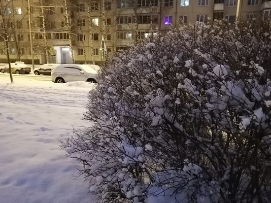 «Желтый» уровень опасности объявили в Петербурге из-за сильного снегопада на выходных