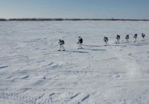 Региональный центр патриотического воспитания (РПЦВ) «Авангард» вскоре начнет военно-тактическое обучение в рамках пятидневного курса «Снежные призраки»