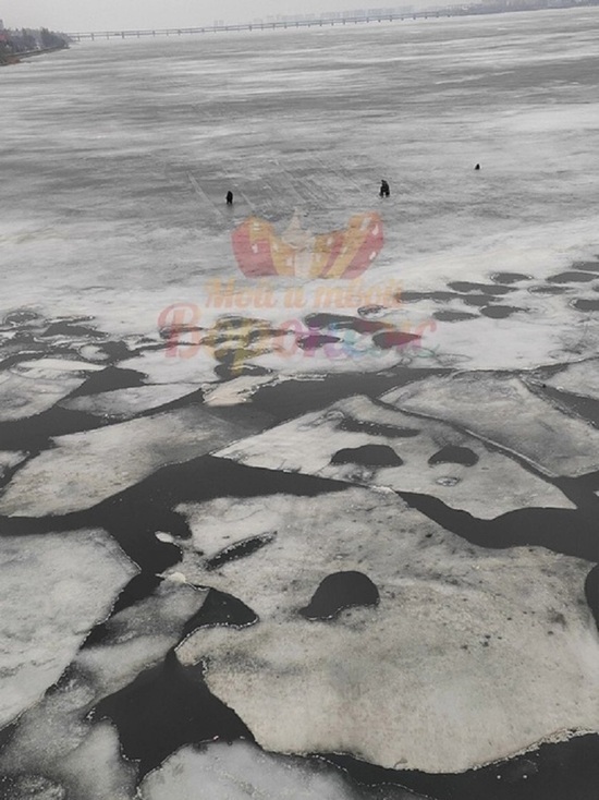 На тающем льду водохранилища в Воронеже в воду провалился рыбак