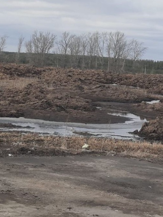 В Воронежской области окраину села завалили бычьим навозом