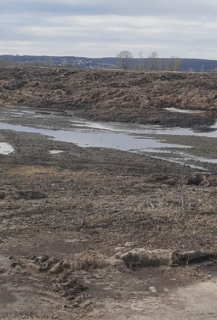 Нелжа Воронеж фото экспозиции