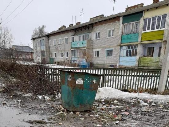 Жители Жердевки пожаловались на помойку возле мусорных контейнеров