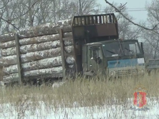 В Красноярском крае двух мужчин осудят за продажу леса другому заказчику