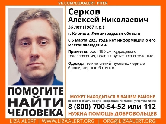 Почти неделю в Киришах разыскивают 36-летнего мужчину