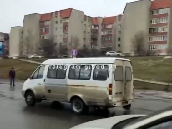 Под Белгородом автомобилист насмерть сбил пенсионерку