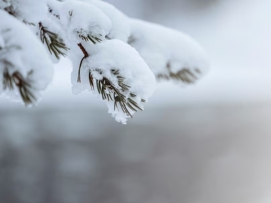 12 марта в Красноярске ожидается до 6° тепла и мокрый снег
