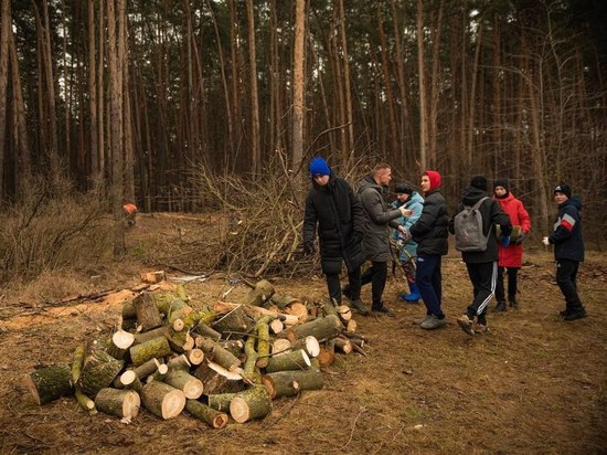 В Курске на заготовке дров для бойцов СВО трудились студенты и волонтёры